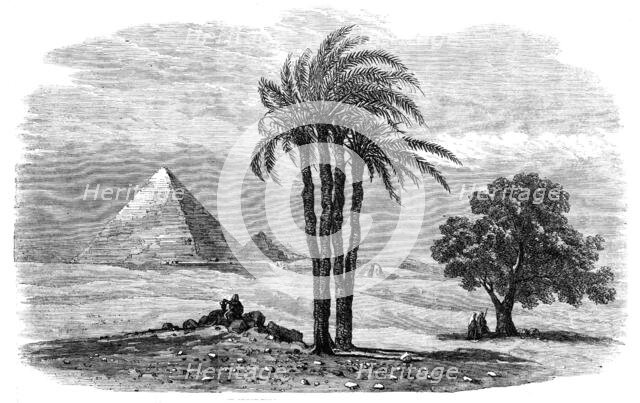 The Prince of Wales' Visit to Egypt: the Great Pyramid - from a drawing by Frank Dillon, 1862. Creator: Unknown.