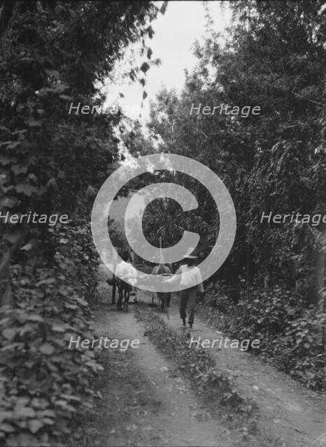 Travel views of Cuba and Guatemala, between 1899 and 1926. Creator: Arnold Genthe.