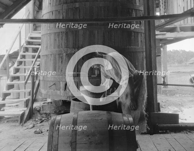 Turpentine "stiller" near Valdosta, Georgia, 1937. Creator: Dorothea Lange.