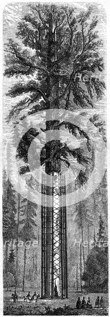 'Yosemite National Park', California, 19th century.Artist: Paul Huet