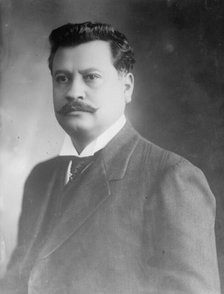 Flores Magon (Y Zermeno), 1914. Creator: Bain News Service.