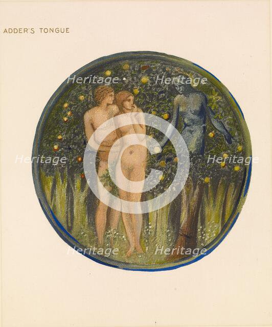 The Flower Book - Adder's Tongue, 1905. Creator: Sir Edward Coley Burne-Jones.