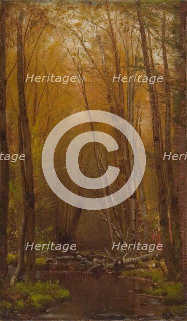 The Birches of the Catskills, ca. 1875. Creator: Worthington Whittredge.