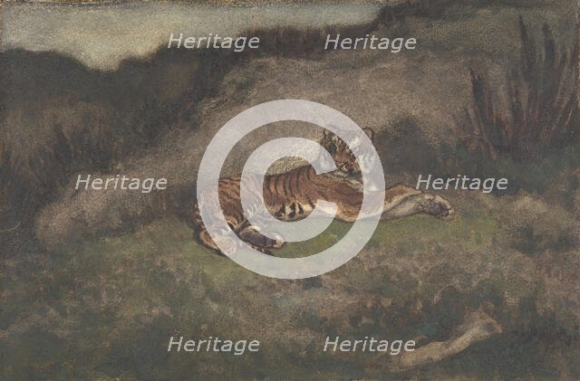 Tiger, 1810-75. Creator: Antoine-Louis Barye.