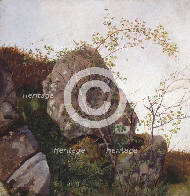 Study of Dog Roses and Ferns, 1834. Creator: Adolph Tidemand.