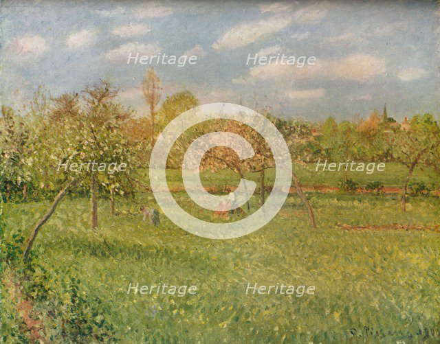 'Apple Trees at Eragny, Morning Sunshine', c1896. Artist: Camille Pissarro.