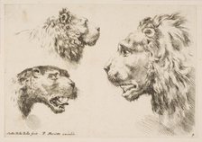 Heads of Three Lions, ca. 1641. Creator: Stefano della Bella.