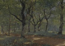 In the woods, 1892. Creator: Adolf Alfred Larsen.