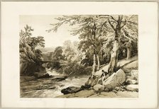 Beech and Ash on the Greta, from The Park and the Forest, 1841. Creator: James Duffield Harding.