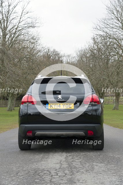 2014 Peugeot 2008 Hdi Feline Artist: Unknown.