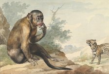 A Monkey Sitting on a Rock Looking at a Civet, 1764. Creator: Aert Schouman.