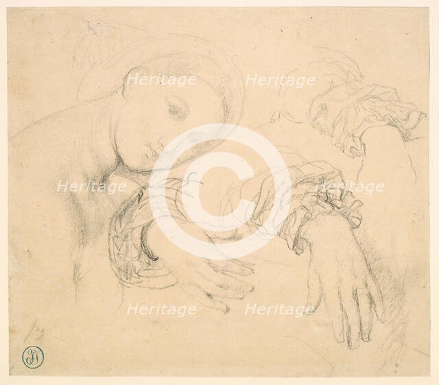Sheet of Studies with the Head of the Fornarina and Hands of Madame de Senonnes, 1814/16. Creator: Jean-Auguste-Dominique Ingres.