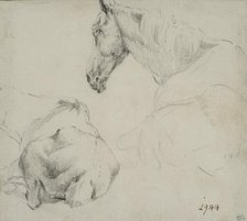 Studies of a horse lying down. Creator: Adriaen van de Velde.