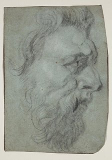 Head of a Man Facing Right, between 17th and 18th century. Creator: Unknown.