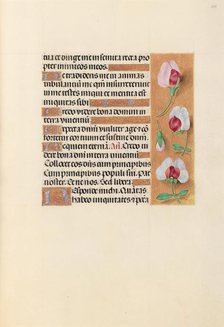 Hours of Queen Isabella the Catholic, Queen of Spain: Fol. 237r, c. 1500. Creator: Master of the First Prayerbook of Maximillian (Flemish, c. 1444-1519); Associates, and.