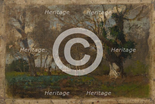 Oak Trees near an Arm of the Váh, 1880-1885. Creator: Ladislav Mednyanszky.