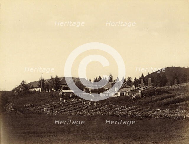 Orphanage at the Nizhniaia Kara Mining Works, 1891. Creator: Aleksei Kuznetsov.