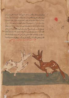 Kalila and Dimna Discussing Dimna's Plans to Become a Confidante of the Lion..., 18th century. Creator: Unknown.