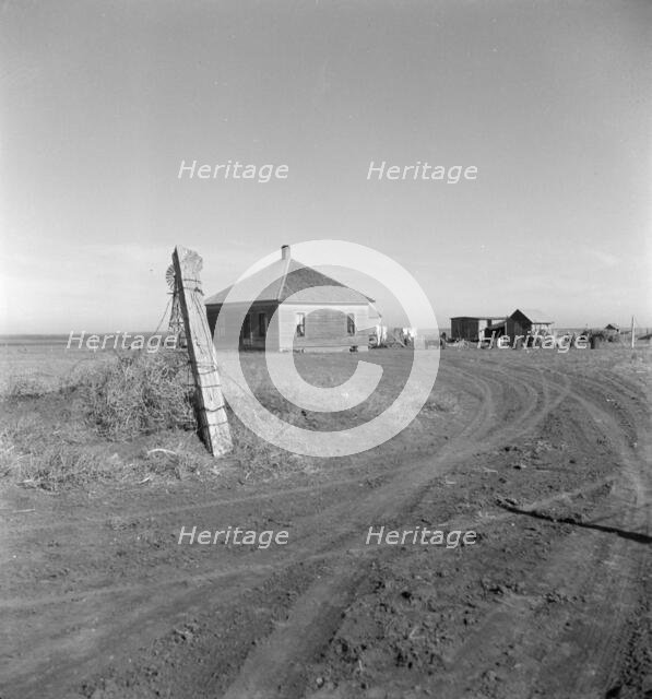 Typical farm in the Mills area, New Mexico, 1935. Creator: Dorothea Lange.