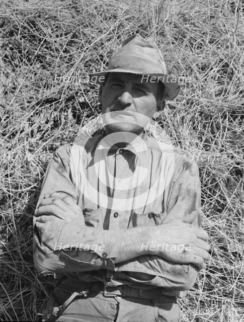 E.E. Botner, FSA borrower, Nyssa Heights, Malheur County, Oregon, 1939. Creator: Dorothea Lange.