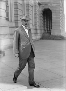 Fall, Albert Bacon, Senator from New Mexico, 1912-1921; Secretary of The Interior, 1921-1923, 1913. Creator: Harris & Ewing.