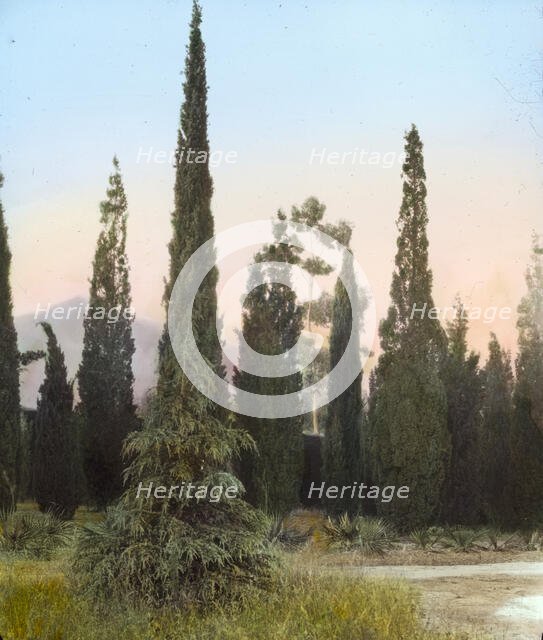 "El Fureidis," James Waldron Gillespie house, Parra Grande Lane, Montecito, California, 1917. Creator: Frances Benjamin Johnston.