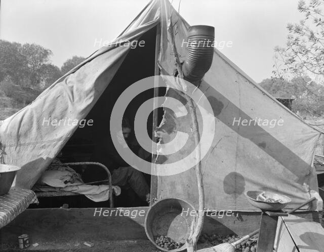 Home of Tennessee family of seven, now migratory workers..., outside of Sacramento, California, 1936 Creator: Dorothea Lange.