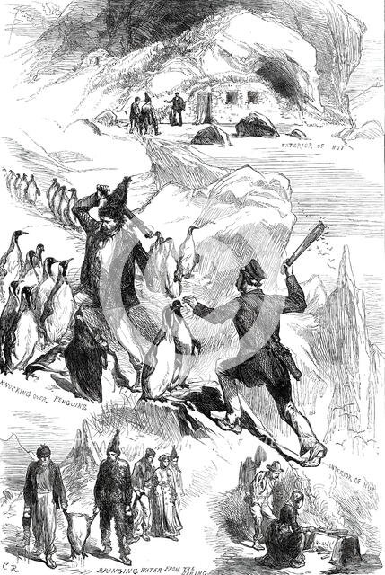 Life on the Crozet Islands, from sketches supplied by Mr. Spencer Joslen, 1876. Creator: C.R..