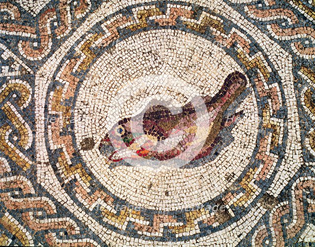 Ruins of Mérida, Roman house of the Amphitheatre dated in the first 10 years of 1st. century, det…