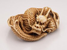 Coiled Dragon, 18th century. Creator: Tomotada.