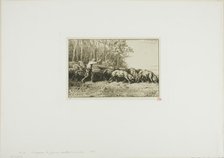 Herd of Swine Coming Out of a Wood, 1849. Creator: Charles Emile Jacque.