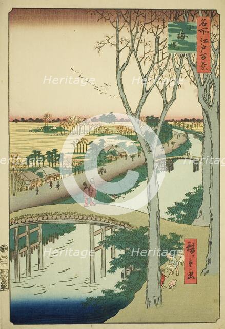 Koume Embankment (Koumezutsumi), from the series "One Hundred Famous Views of Edo..., 1857. Creator: Ando Hiroshige.