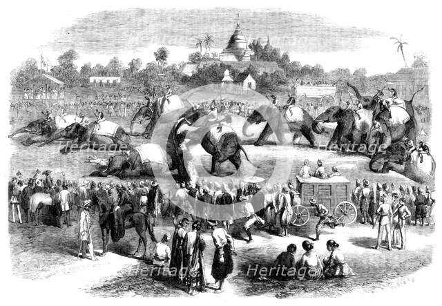 Elephant Steeplechase at Rangoon, 1858. Creator: Unknown.