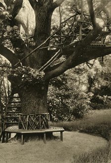 'Rustic Treatment. - Summer House in a Tree, an ideal Tea House', 1920. Creator: Unknown.
