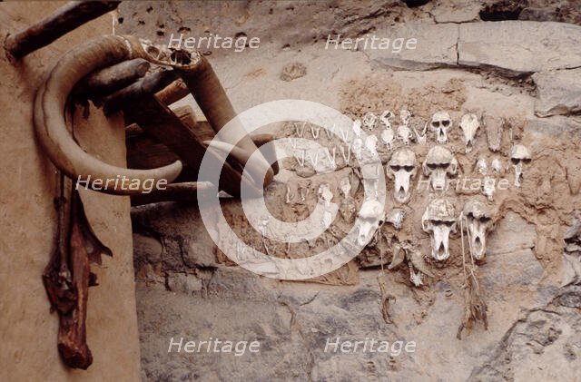 Monkey skulls, Bandiagara Escarpment, Pays Dogon, Mali, 1990. Creator: Amanda Waite.