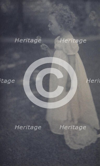 Dandelions, c1900. Creator: Ema Spencer.