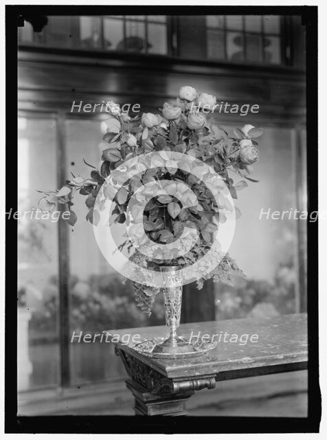 Bouquet, between 1911 and 1920. Creator: Harris & Ewing.