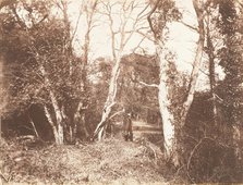 Cureuleo Meadow, 1853-56. Creator: John Dillwyn Llewelyn.