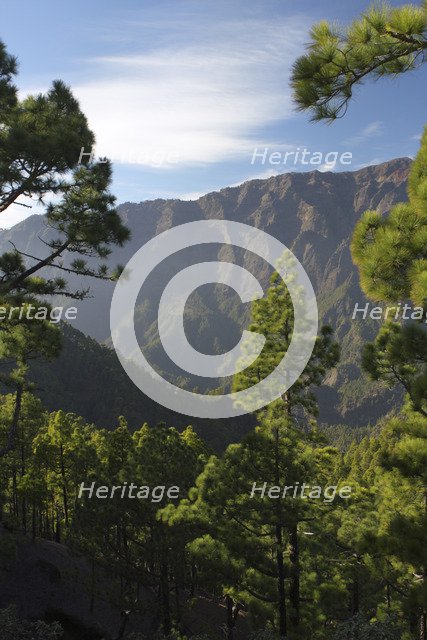 Parque Nacional de la Caldera de Taburiente, La Palma, Canary Islands, Spain, 2009. 