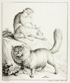 Cat and Monkey, 1814/16. Creator: Godefroy Engelmann.