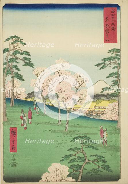Asuka Hill in the Eastern Capital (Toto Asukayama), from the series "Thirty-six Views..., 1858. Creator: Ando Hiroshige.
