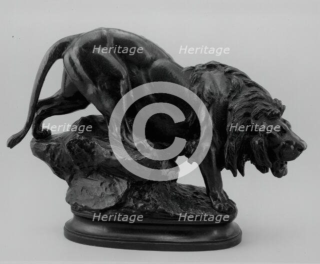 Lion, c. 1880. Creator: Rosa Bonheur.