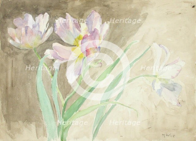 Tulips. Creator: Maria Wiik.