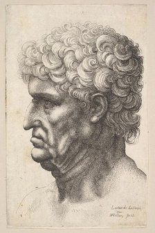 Head of a man with thick curly hair in profile to the left, 1640-49. Creator: Wenceslaus Hollar.