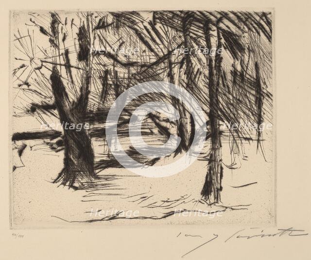 Bäume mit Sonne (Trees in the Sun), 1920-1921. Creator: Lovis Corinth.