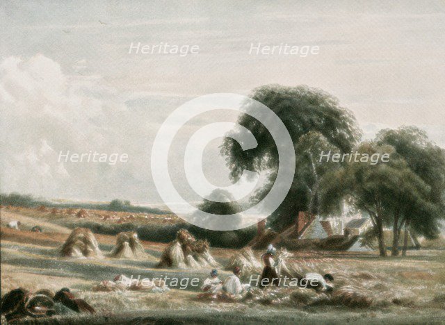 'A Harvest Scene', (c1900).  Creator: Unknown.