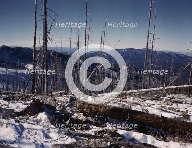 Sangre de Cristo Mt., New Mexico, 1943. Creator: John Collier.