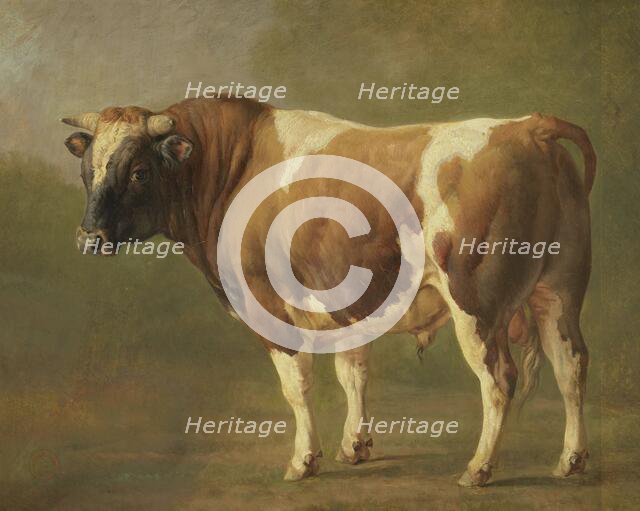 Study of a Bull, 1830-1867. Creator: Jacques-Raymond Brascassat.