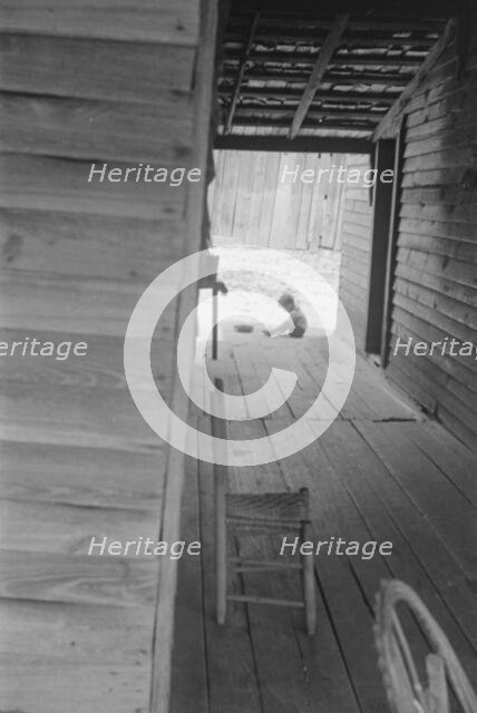 Dog run of Floyd Burroughs' home. Hale County, Alabama, 1936. Creator: Walker Evans.