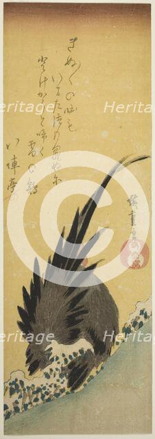 Rooster on a hillside in winter, mid-1830s. Creator: Ando Hiroshige.